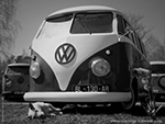 Combi Split T1