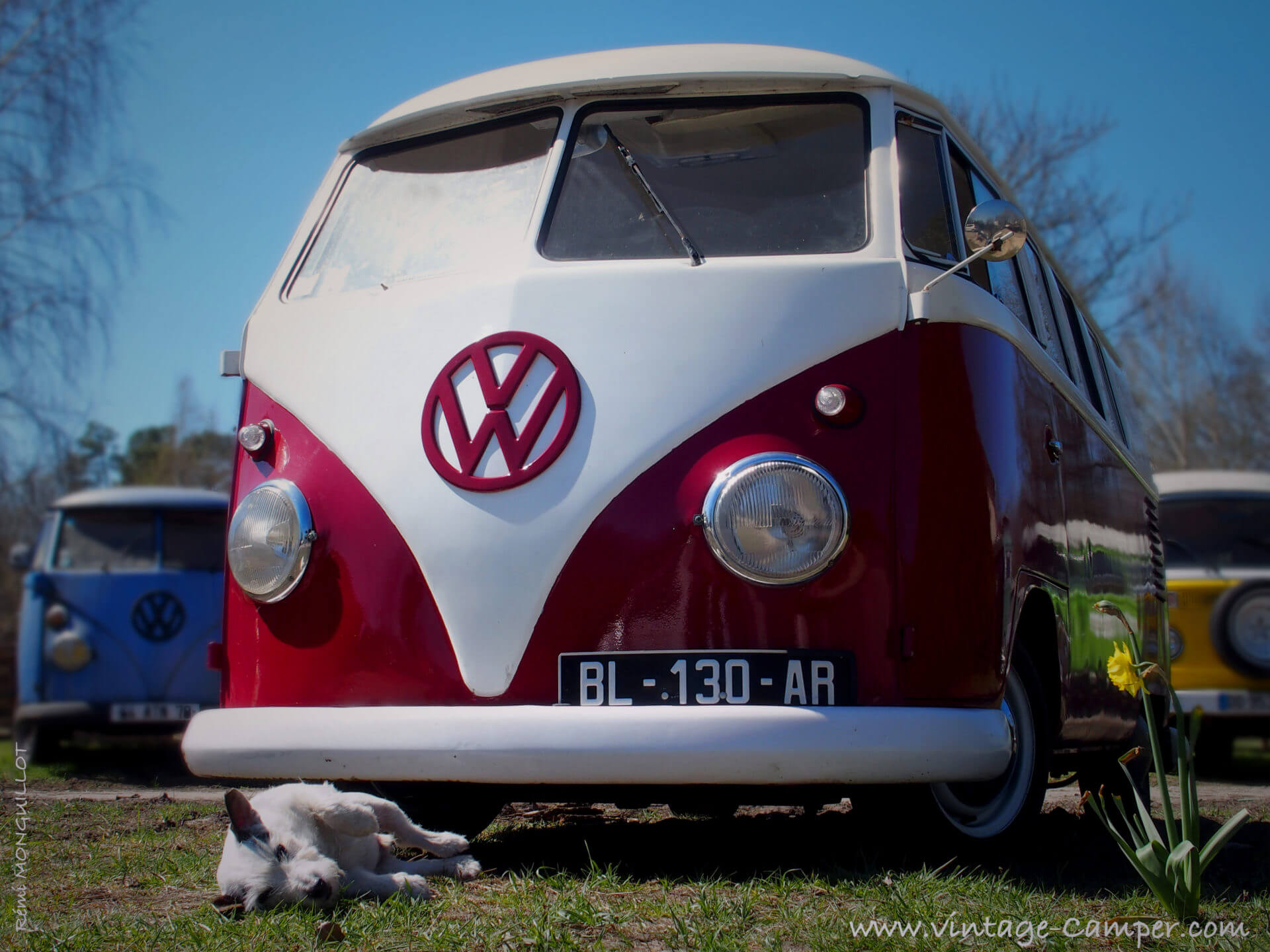Hire A Combi VW to Crazy Holidays 
