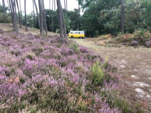 location originale groupe de copains – Bordeaux
