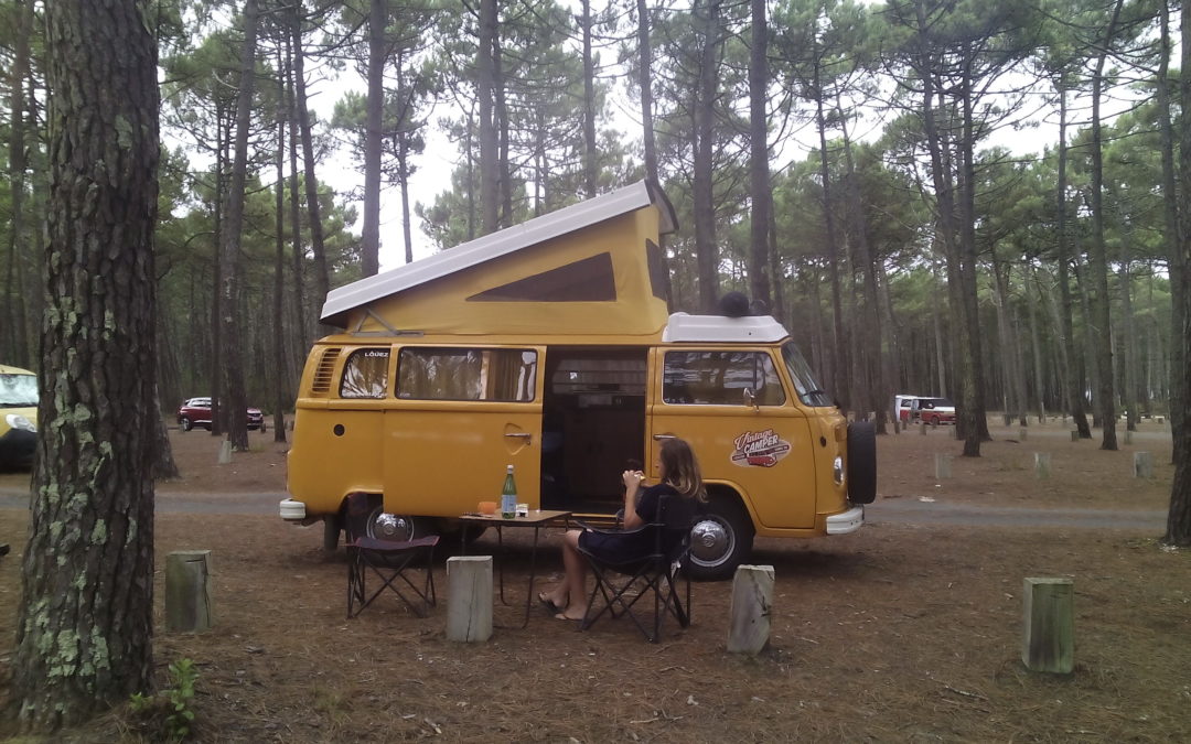 Moteur type IV bay window – Vintage Camper