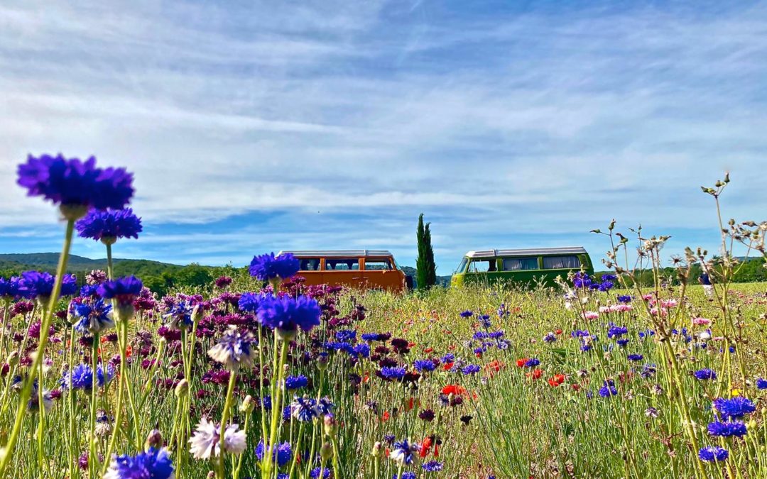 Des vacances inoubliables en Combi Volkswagen Vintage Camper Ardèche