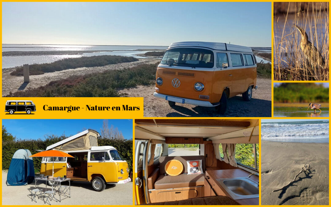 Vintage Camper Camargue – La nature Camarguaise en Mars