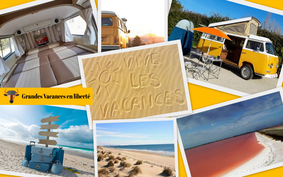Vos Grandes Vacances en liberté : Vintage Camper Camargue