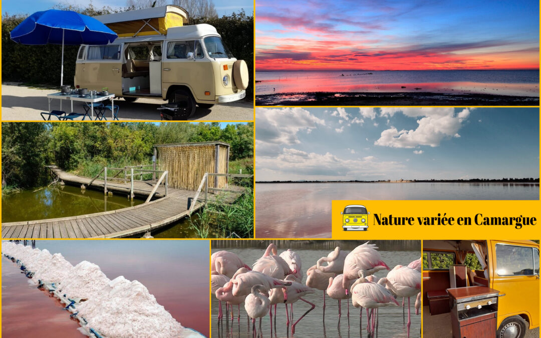 Nature en liberté : Vintage Camper Camargue