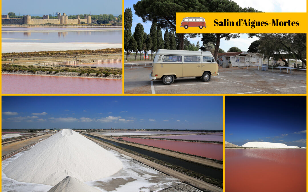 Zoom sur les Salins d’Aigues-Mortes