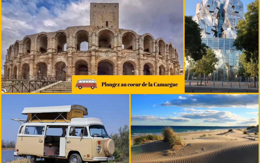 Plongez au coeur de la Camargue en été