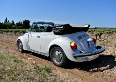 Coccinelle cabriolet Capucine