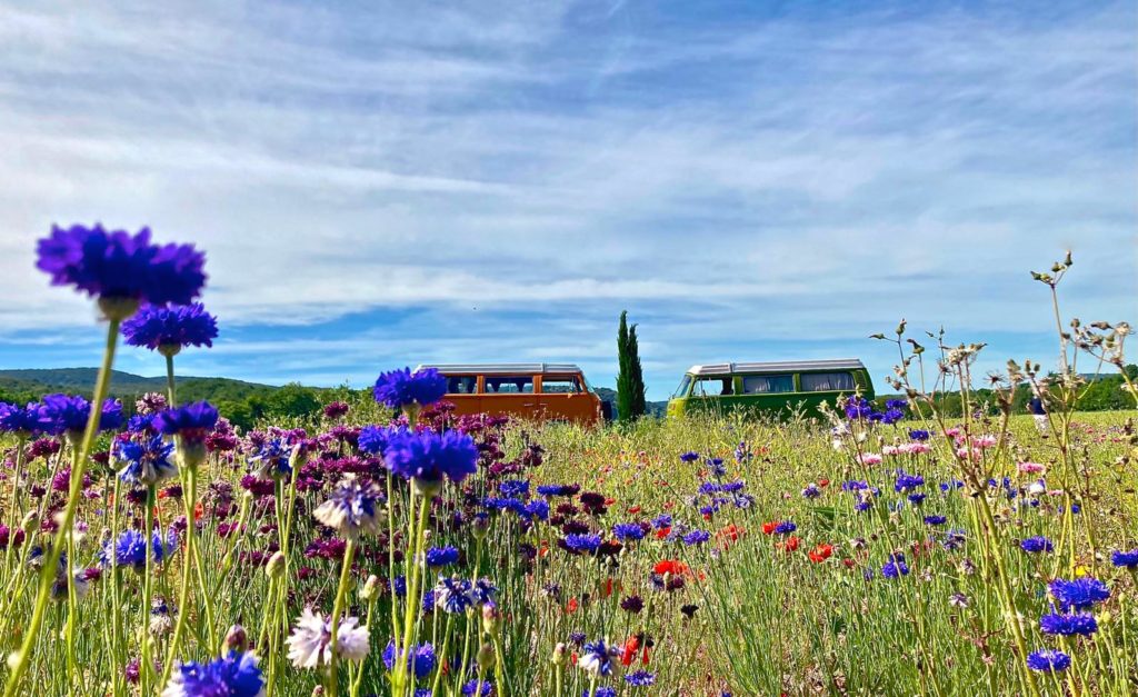 Combi Vintage Camper Ardèche