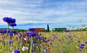 Combi Vintage Camper Ardèche