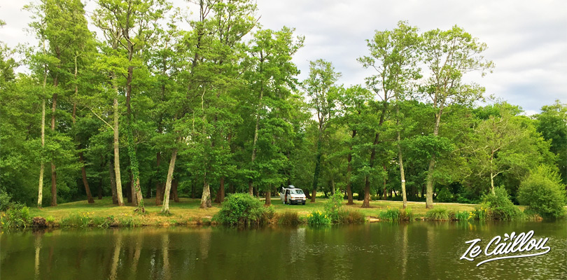 Dormir à Mimizan dans les Landes en van aménagé au bord d'un lac