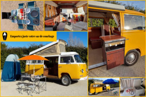 Options_Camargue