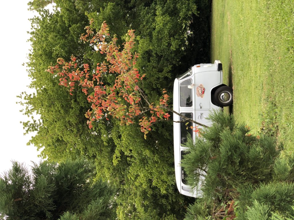 location voiture de marié combi vw vintage minibus bordeaux gironde.